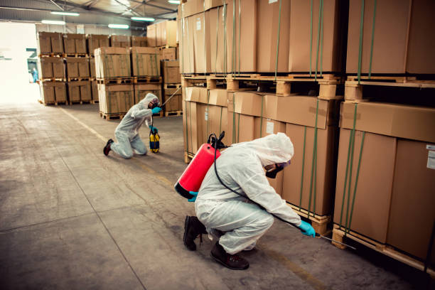 Best Flea Control Services  in Hendersonville, TN