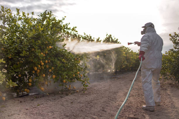 Best Pest Control Near Me  in Hendersonville, TN
