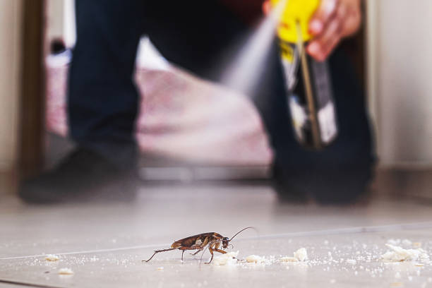 Best Residential Pest Control  in Hendersonville, TN