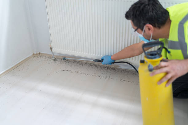 Best Pest Prevention Services  in Hendersonville, TN