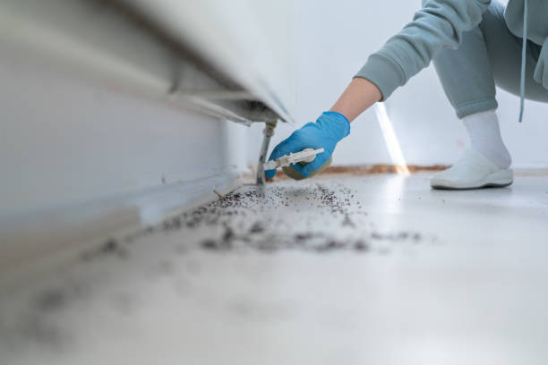 Pest Control Cost in Hendersonville, TN